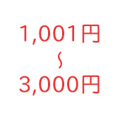 1,001～3,000円